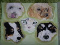 /album/galerie-photos/photo-733-jpg/